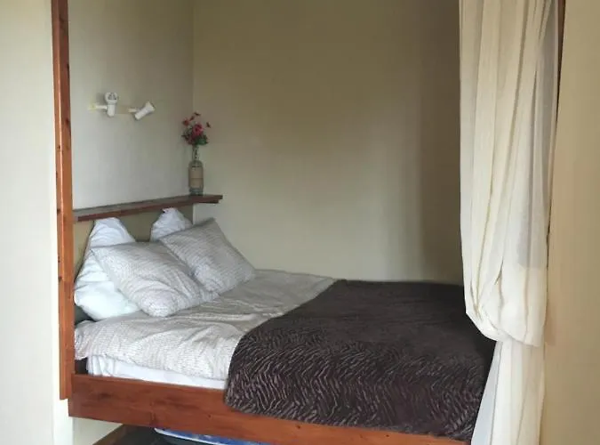 Alibaba * Santa Úrsula