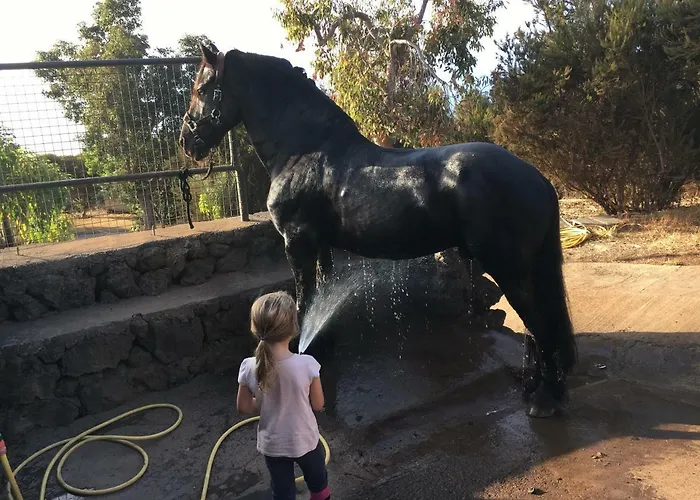 شقة Alibaba Santa Úrsula