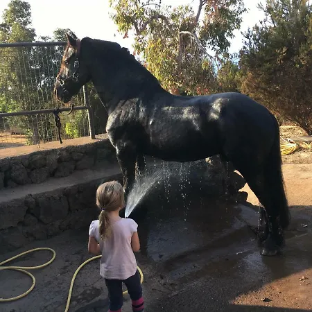 Apartman Alibaba Santa Úrsula