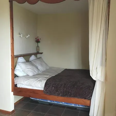 Alibaba * サンタ・ウルスラ